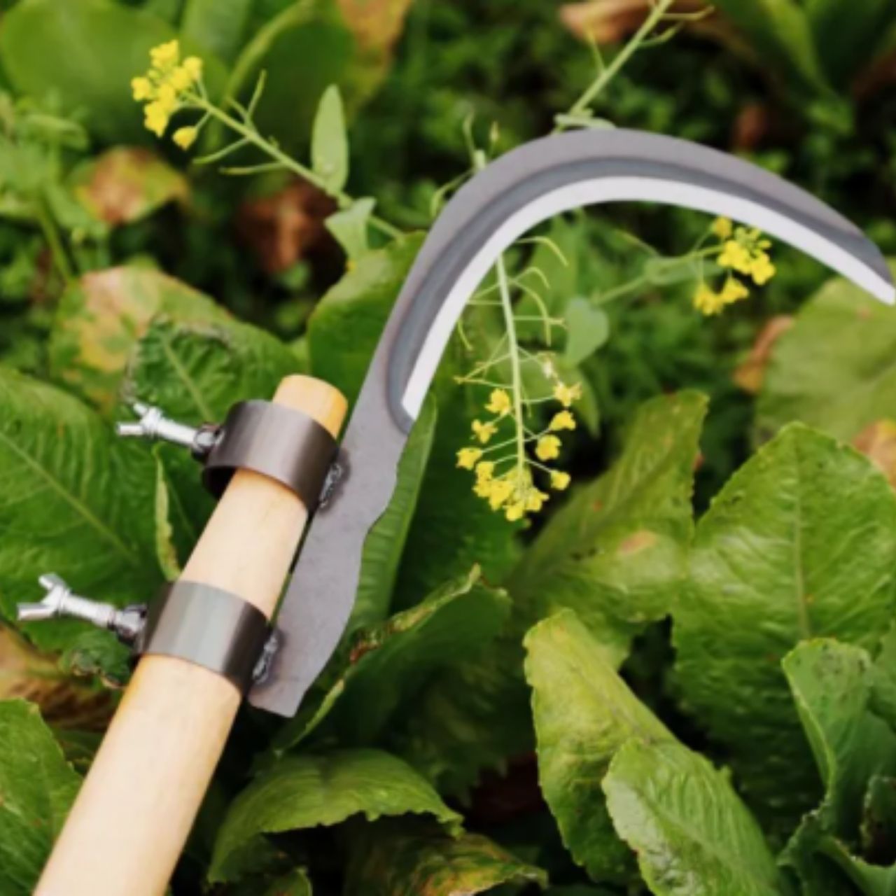 AgroTool, Branch, Weed, Thorn and Vegetation Cutter - Image 10