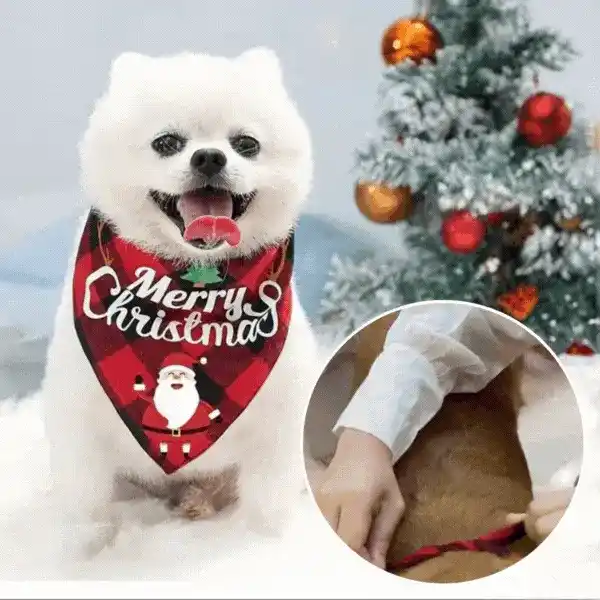 Bandana, the Christmas shawl for dogs - Image 3