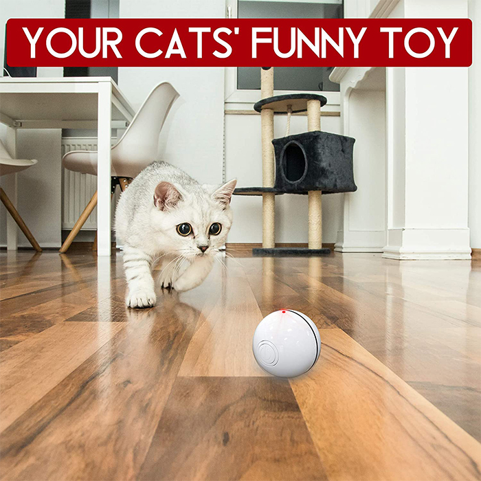 The ball moves automatically on the floor, waving the feather and entertaining the kitten with the light until it gets tired!