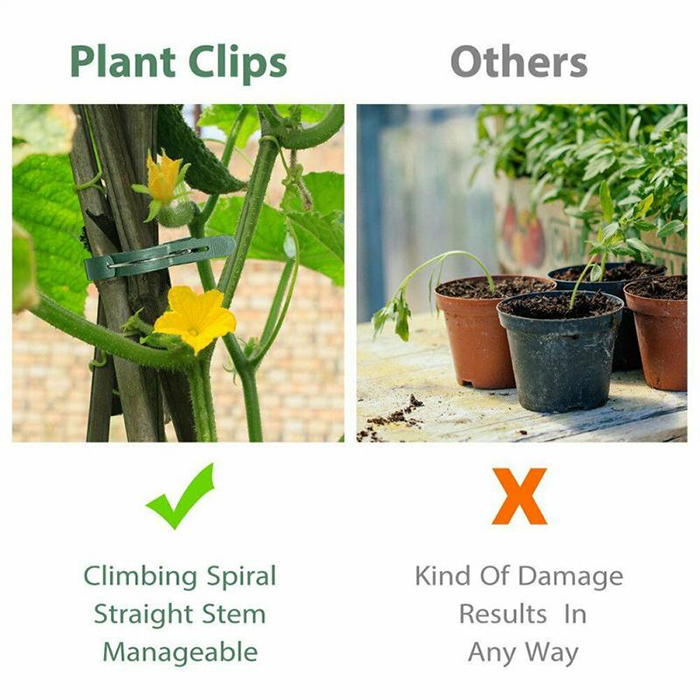 ClampsGarden, useful and durable clamps for a variety of plants outside and inside (20 pcs.) - Image 7