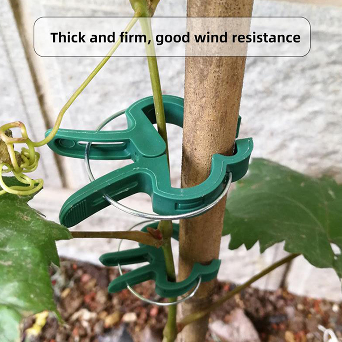 ClampsGarden, useful and durable clamps for a variety of plants outside and inside (20 pcs.) - Image 10