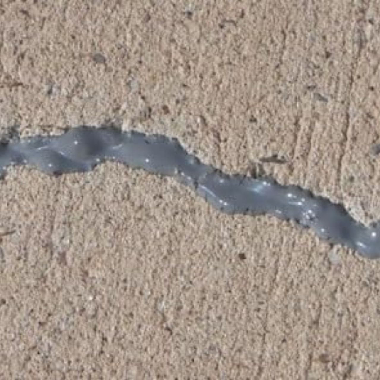 CrackFiller, Elastic Crack Repair Sealant (500 ml) - Image 12