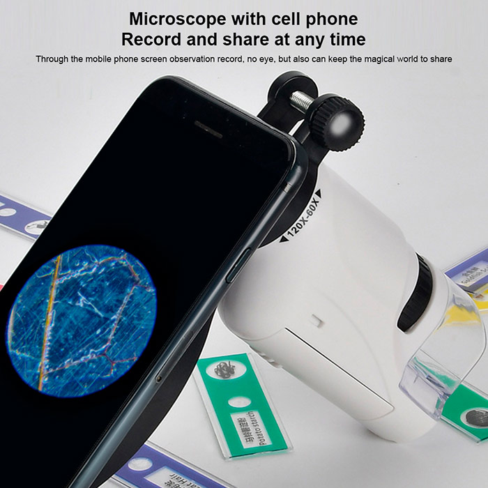 DiscoverBundle, portable children's microscope + 12-piece set of observation plates - Image 9