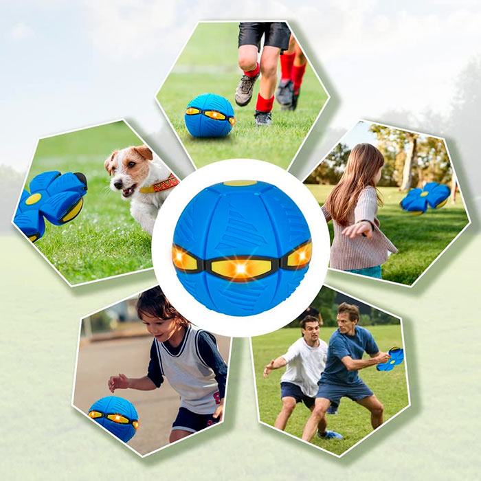An excellent choice for mental and physical activity for your dog.
