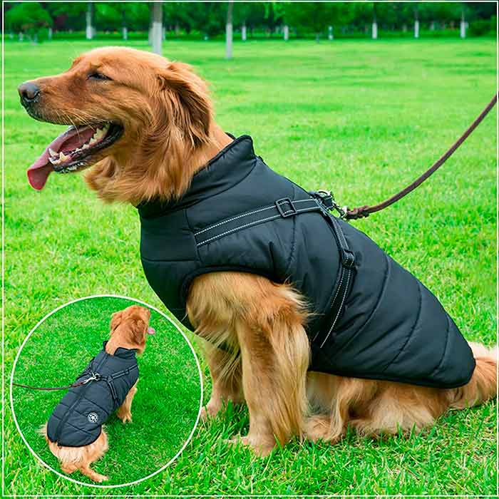 DogJacket, reflective and waterproof winter coat for dogs - Image 10