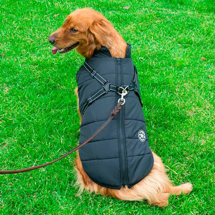 DogJacket, reflective and waterproof winter coat for dogs - Image 11