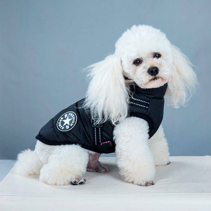 DogJacket, reflective and waterproof winter coat for dogs - Image 15