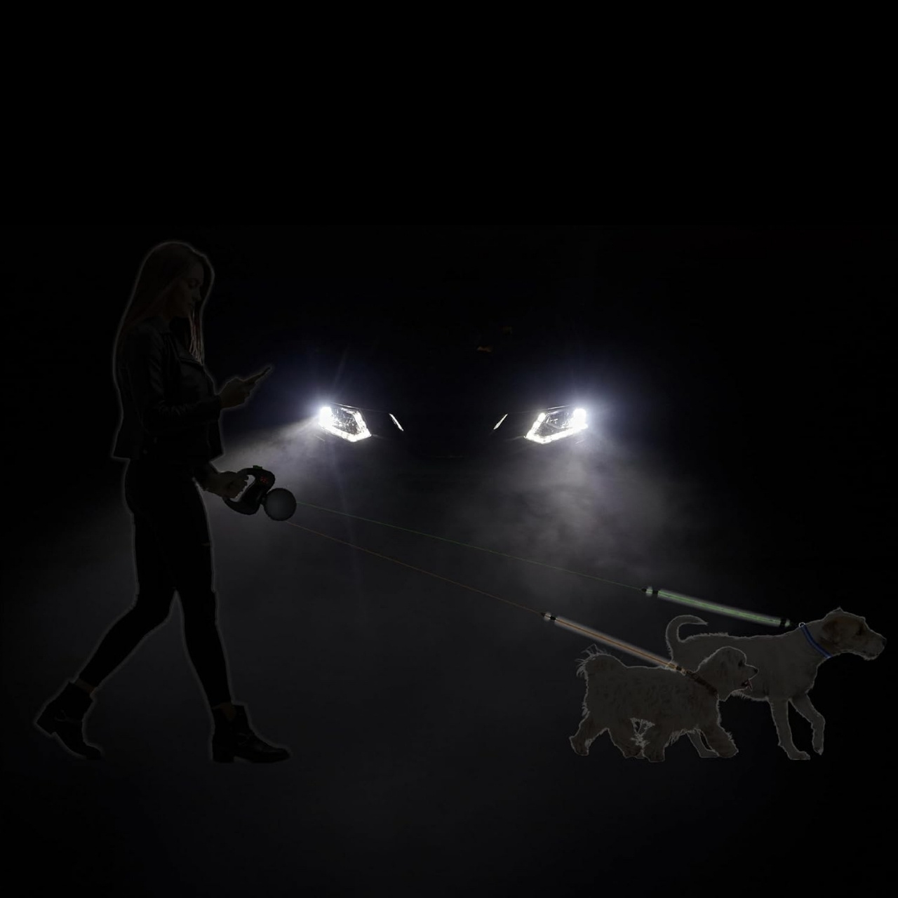 DoubleLeash, retractable leash for two dogs - Image 10