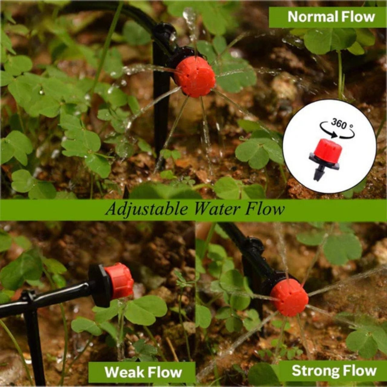Suitable for use in pots, beds, orchards, meadows and even smaller farm areas.