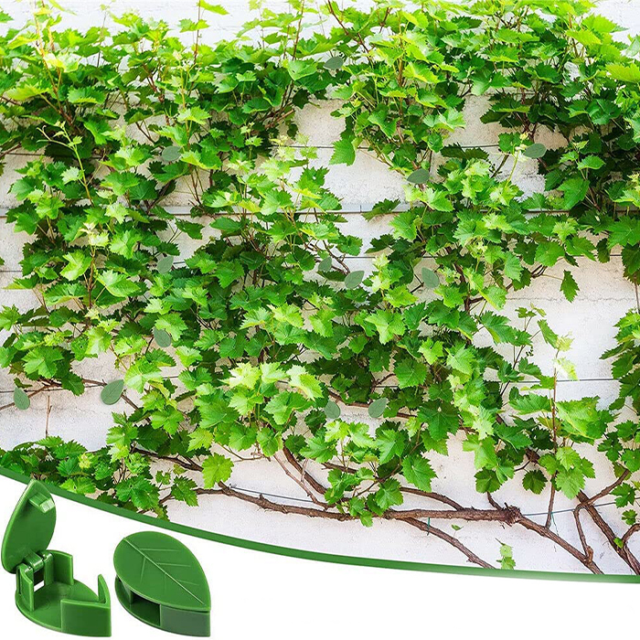 FixtureClips, 10+10 FREE self-adhesive plant branch holders - no drilling! - Image 4
