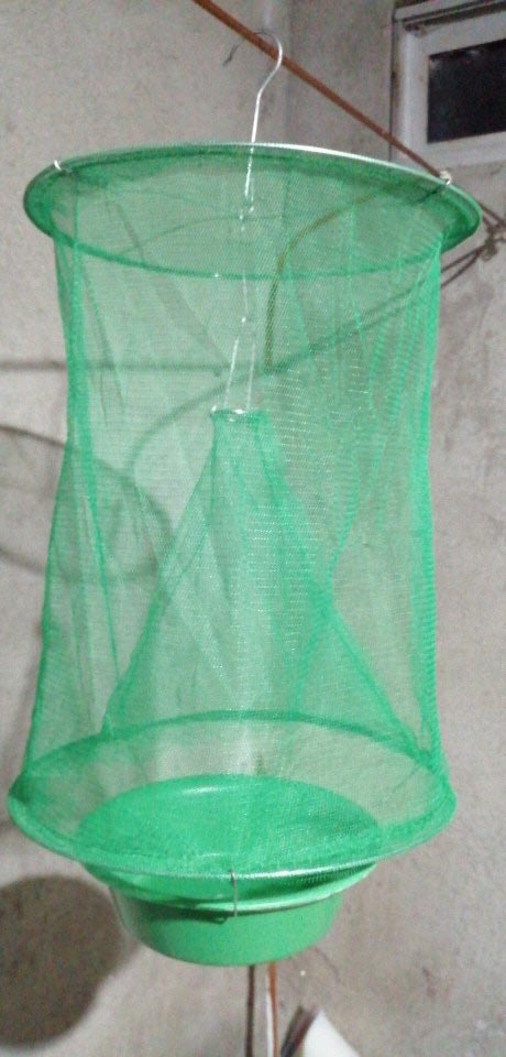 FlyCatcher, a hammock for catching insects and bugs - Image 8