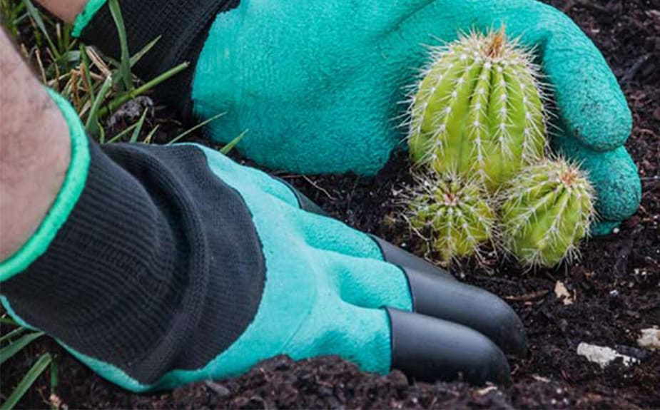 Fabric garden bed + FREE garden gloves with plastic claws - Image 4