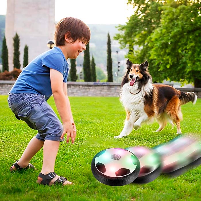With this interactive toy, your dog will be less stressed as he will be mentally and physically stimulated.