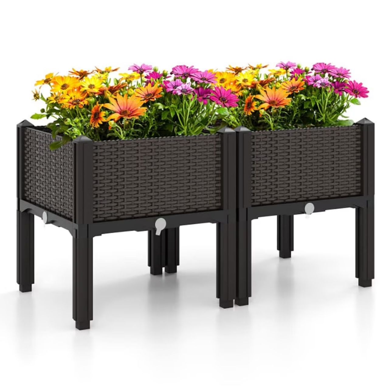 Growsy, raised garden trough - Image 5