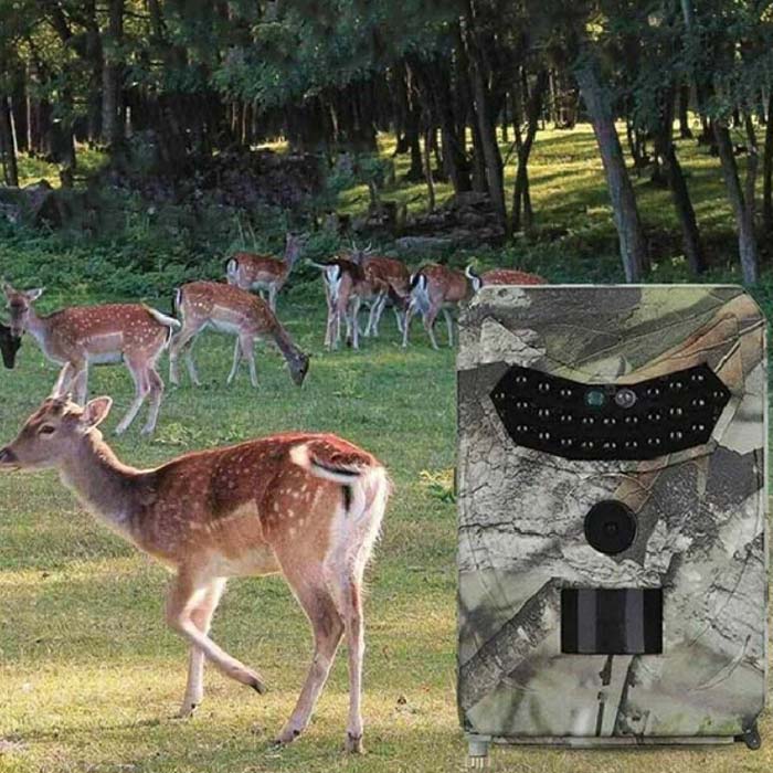 HDCamera, the camera for recording and photographing the surroundings of your house - Image 9