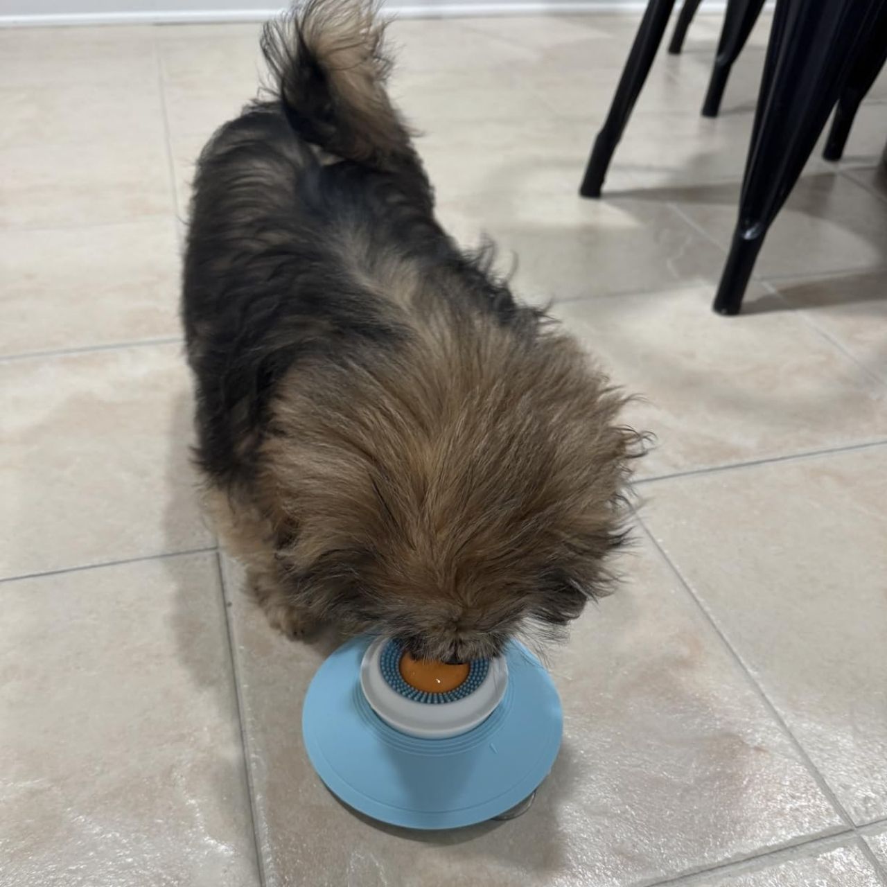 Interactive Slow Feeding Toy, Licky - Image 4