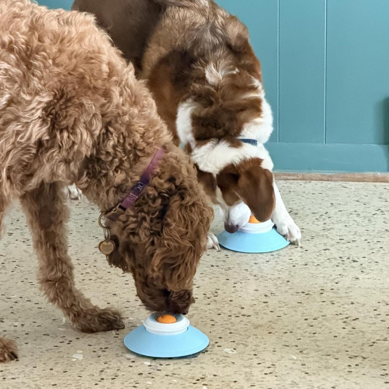 Interactive Slow Feeding Toy, Licky - Image 6