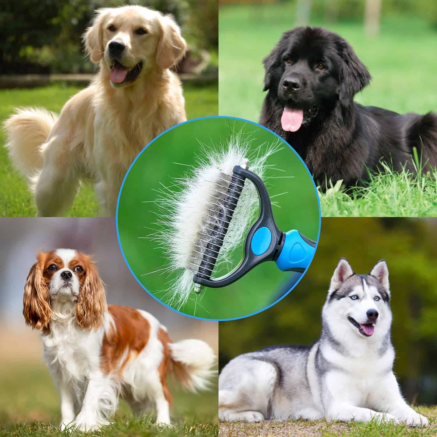 THE INDISPENSABLE BRUSH FOR DOGS AND CATS