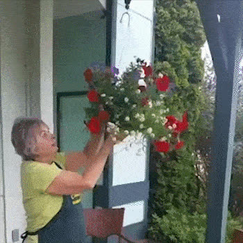 PullGarden, set of 2 hooks for hanging plants with stretch strap - video