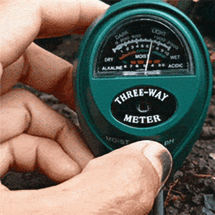 RightGrowth, pH, moisture and light tester - video