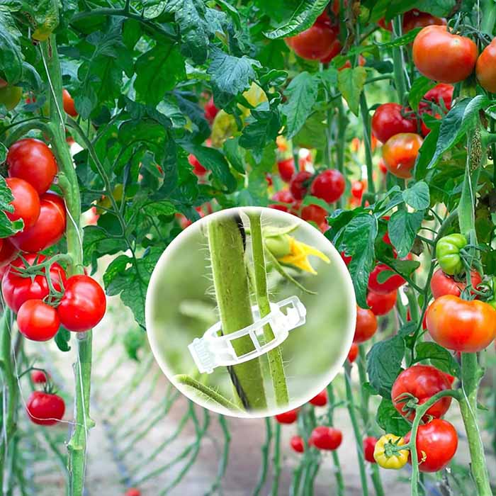 SnapClips, Plant Clips (50 pieces) - Image 8