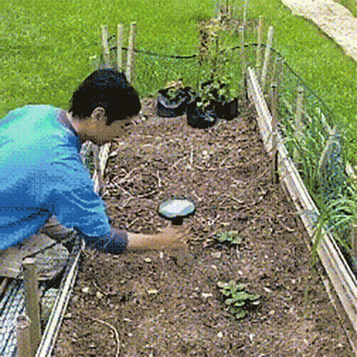 SunRepel, a non-toxic solar garden pest repellent - video