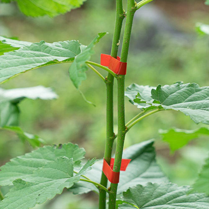 TapeTool, a tool for fast and efficient plant stapling - Image 4