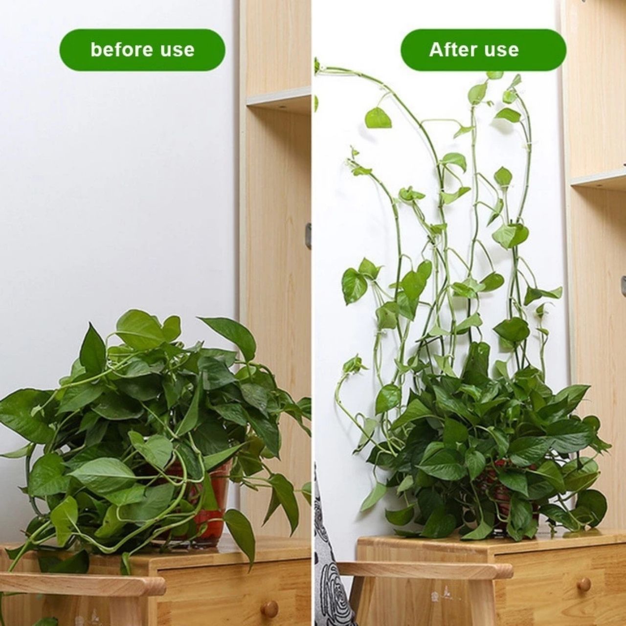 The design of the supports blends seamlessly into the plants and provides a sturdy yet aesthetic support for climbers.