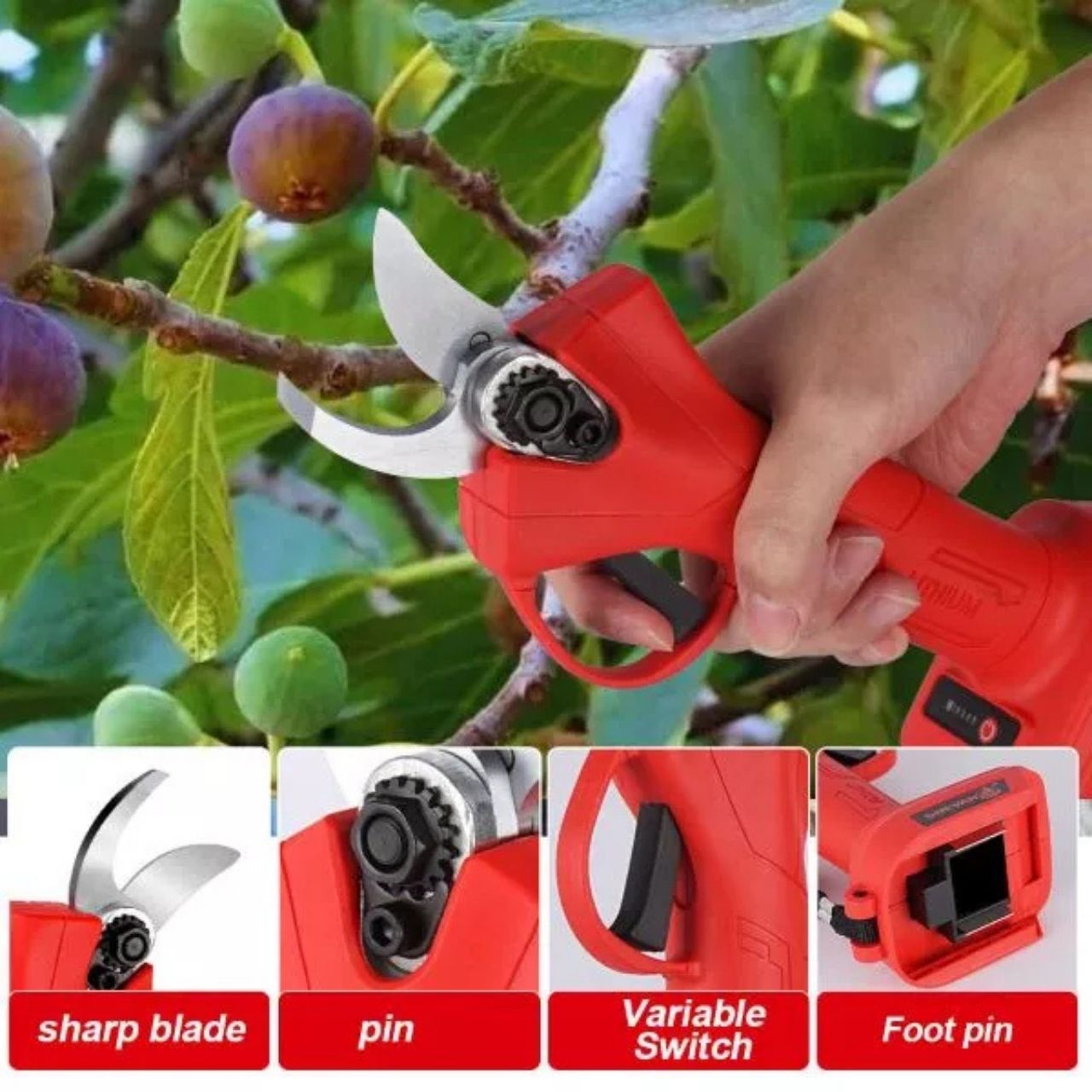 Whizzy, the electric pruning shears - Image 5